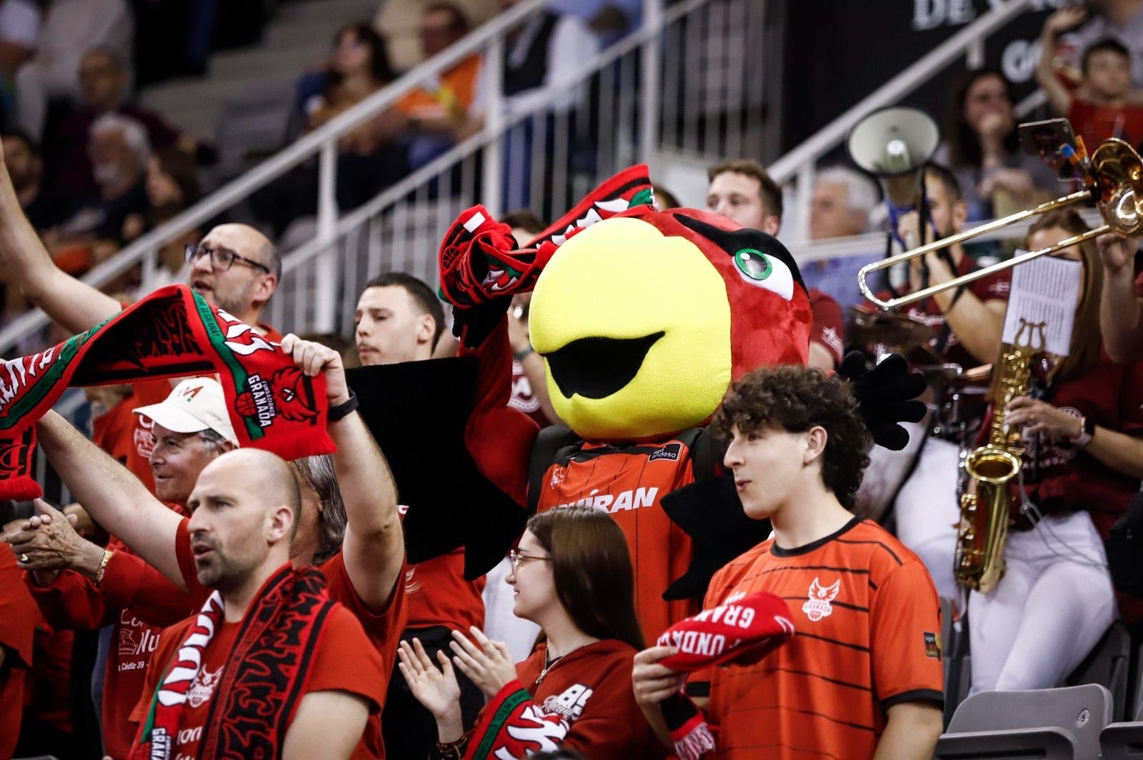 Encuéntrate en la grada en el Covirán Granada - UCAM Murcia