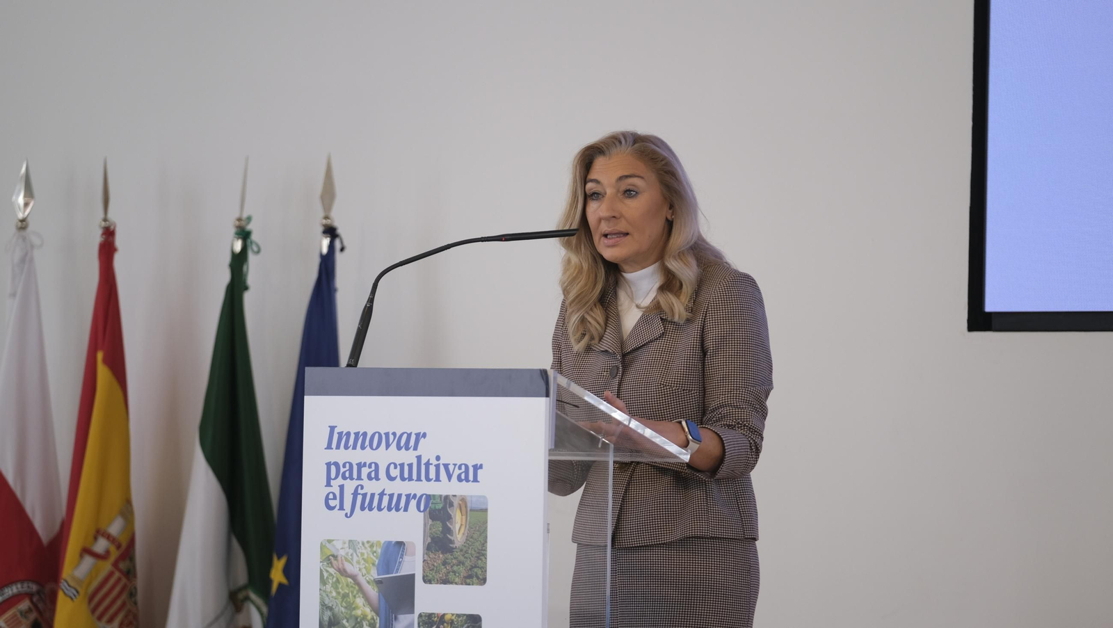 Imágenes de la Jornada BBVA-Grupo Joly 'Revolución Agrotech en el Campo', en Almería