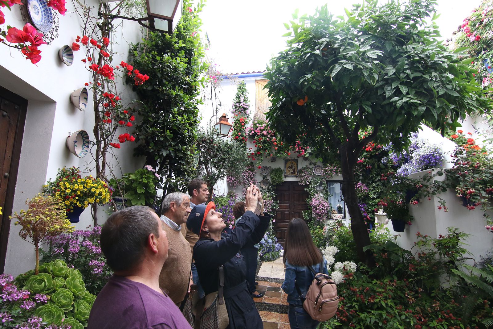 Los patios ganadores en el concurso de los Patios de Córdoba 2017