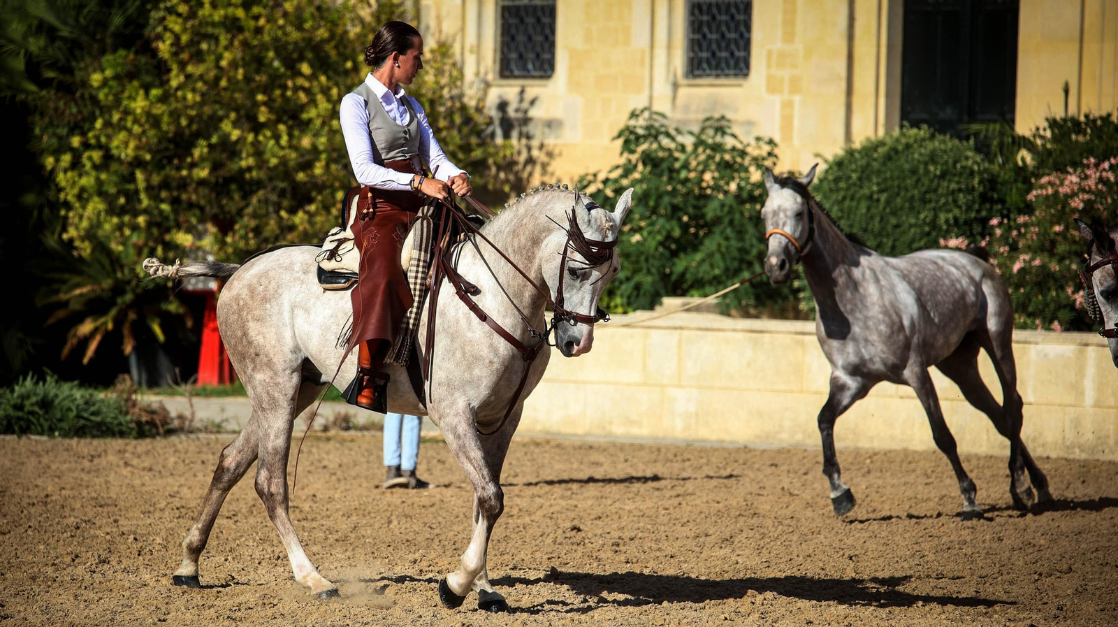 Campeonato de España de Doma Vaquera en Jerez