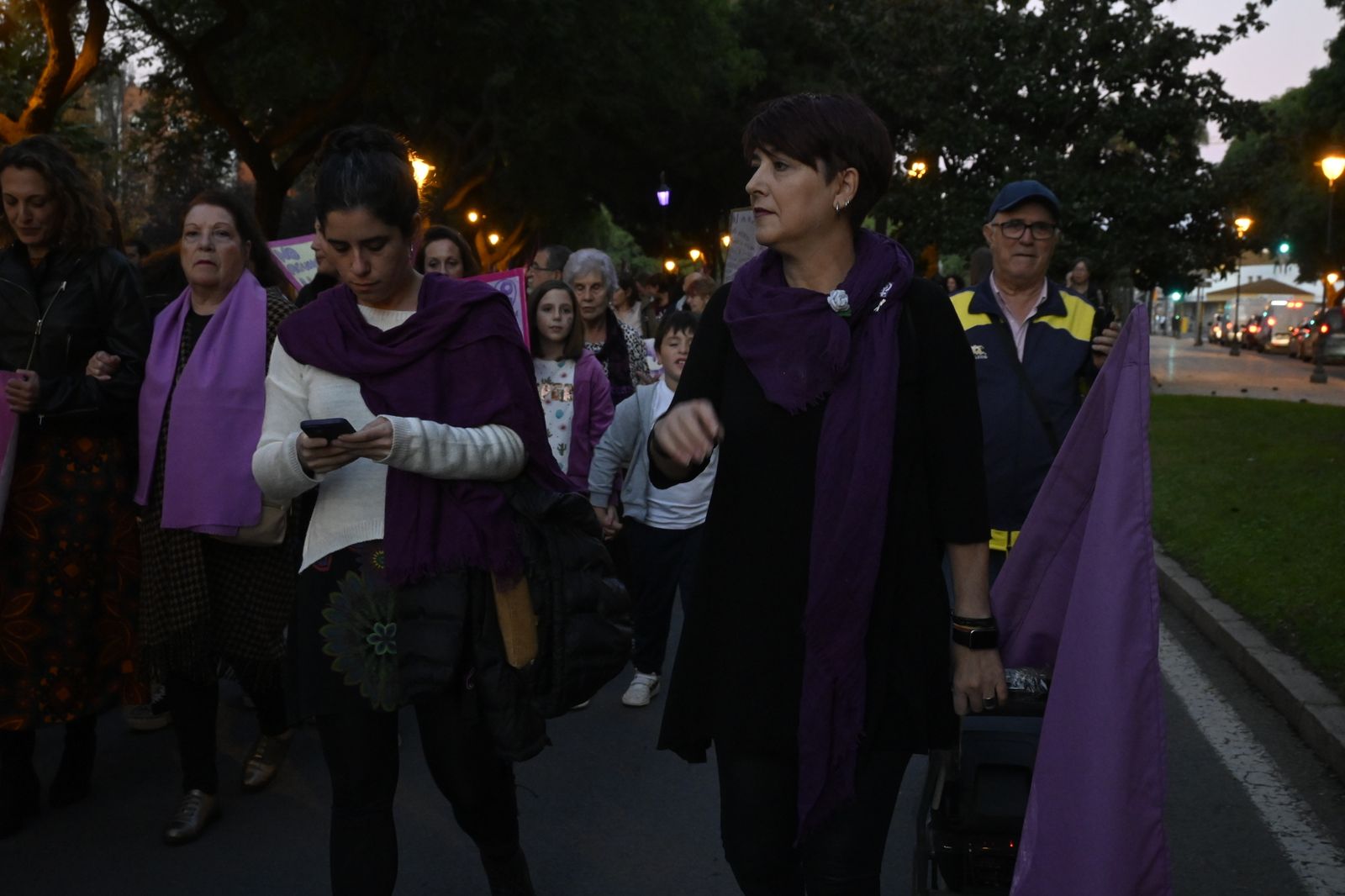 Manifestación del 25N en Imágenes.