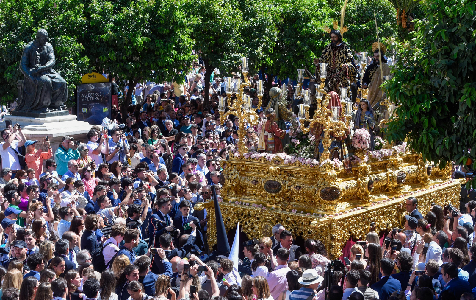 La Hermandad de La Borriquita, en imágenes