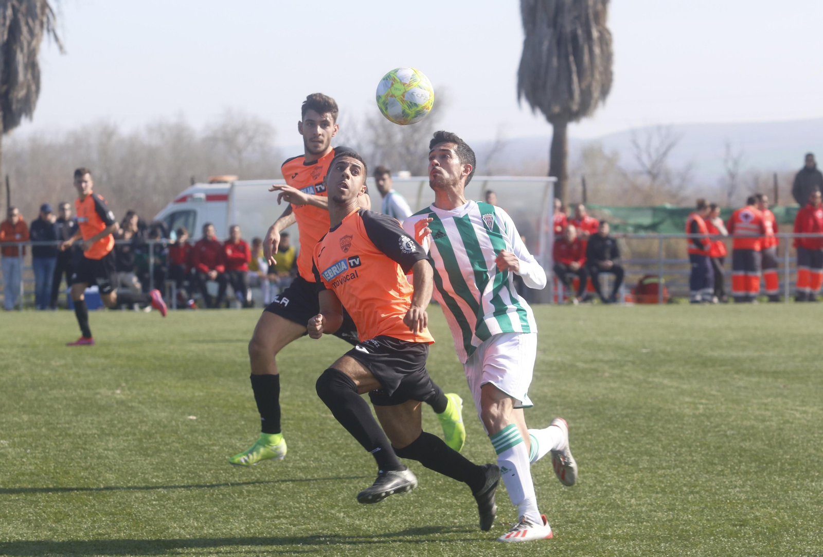 La victoria del Córdoba B sobre la Lebrijana (3-1), en imágenes