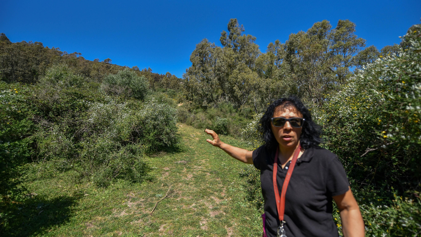 Fotos de la zona de Betijuelos incendiada