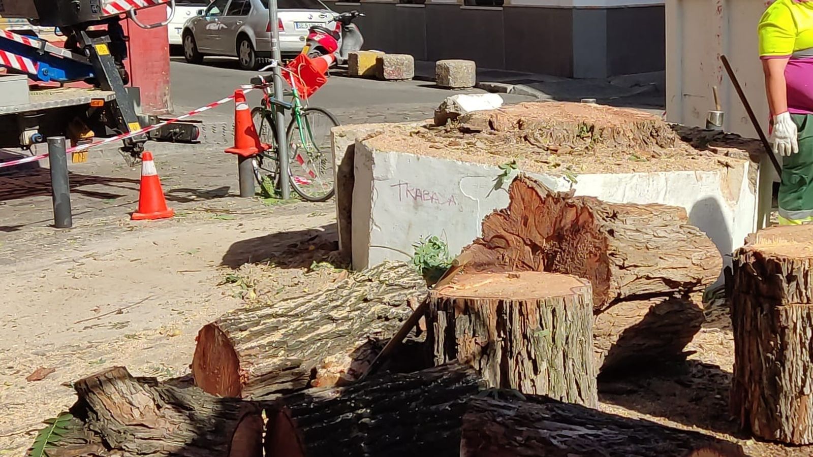 Los restos del tronco cortado en la plazoleta entre Peral y Núñez del Prado.
