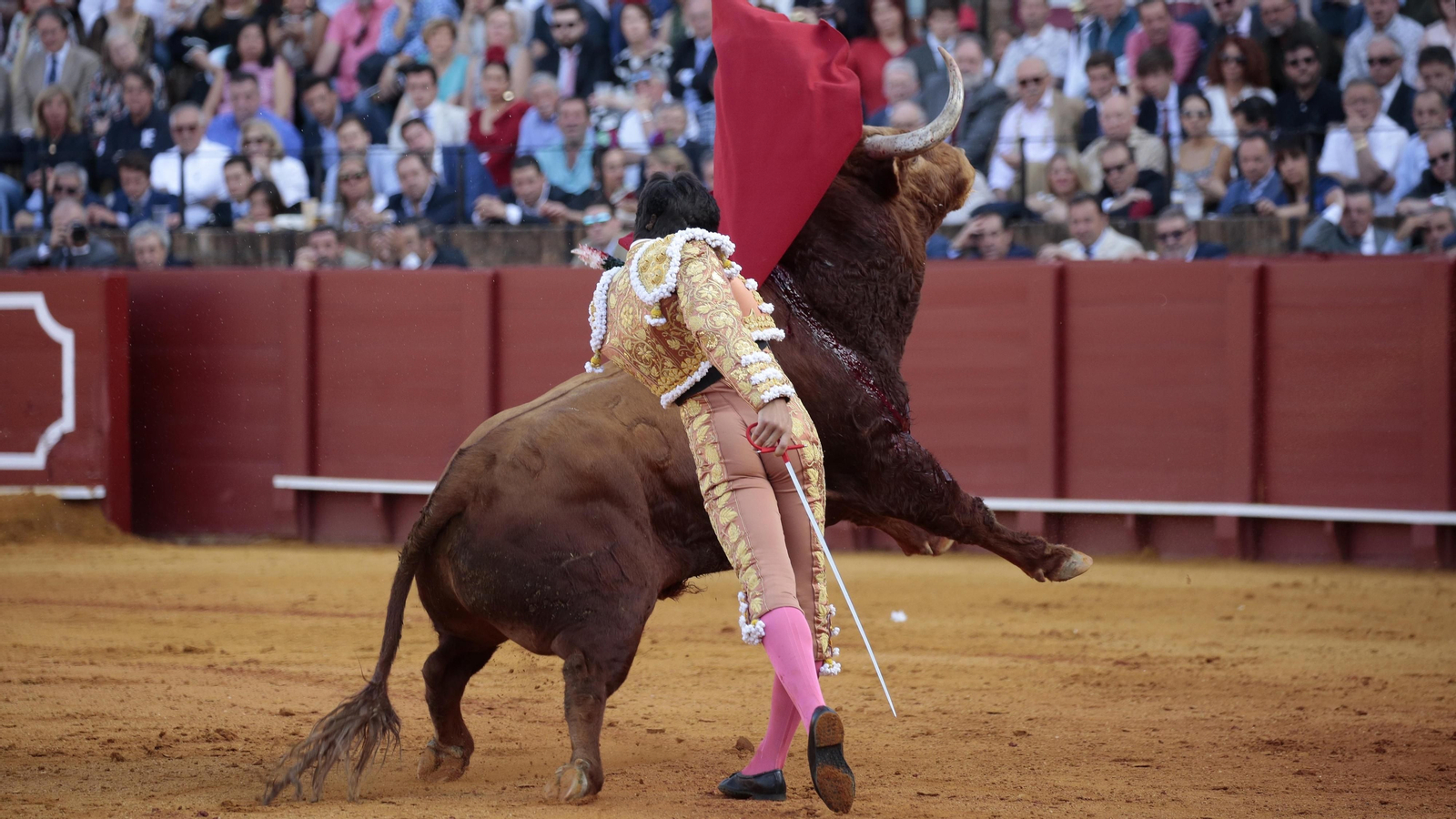 Las imágenes de la corrida del martes de Feria