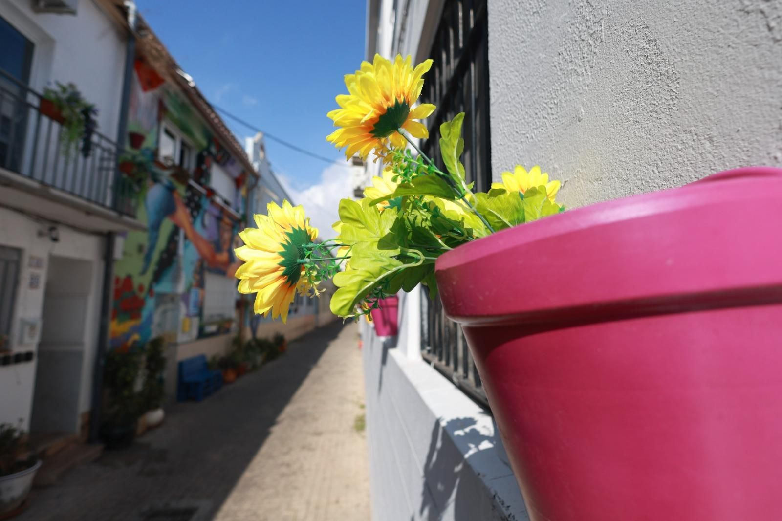 Los corralones de El Perchel y La Trinidad de Málaga, en fotografías