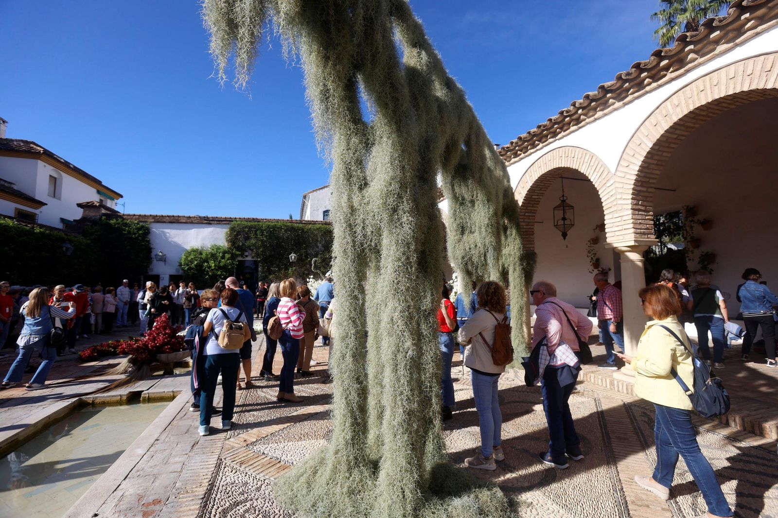 Las últimas horas para visitar las instalaciones de Flora en Córdoba, en imágenes