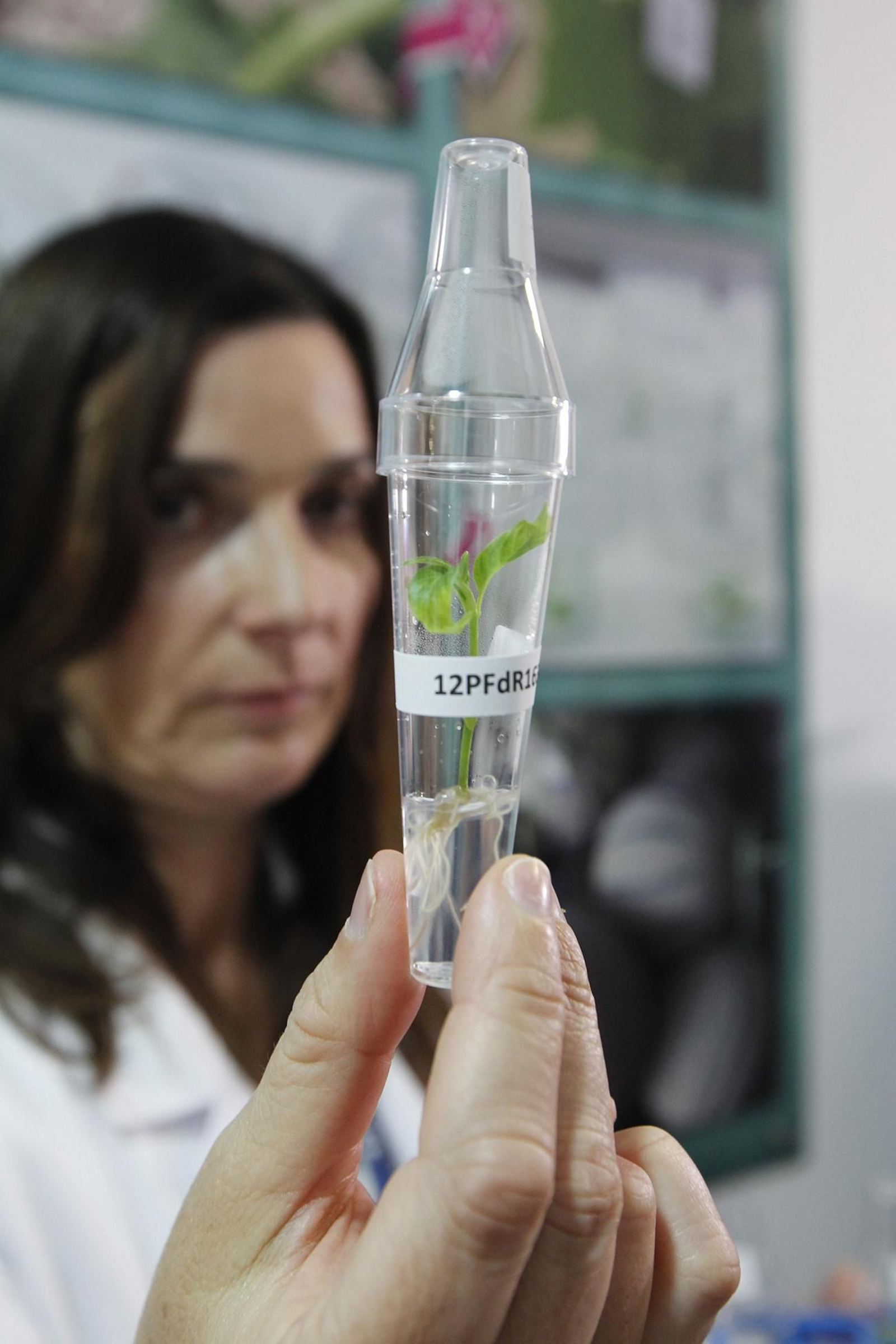 Fotogalería presentación resultados Bayer