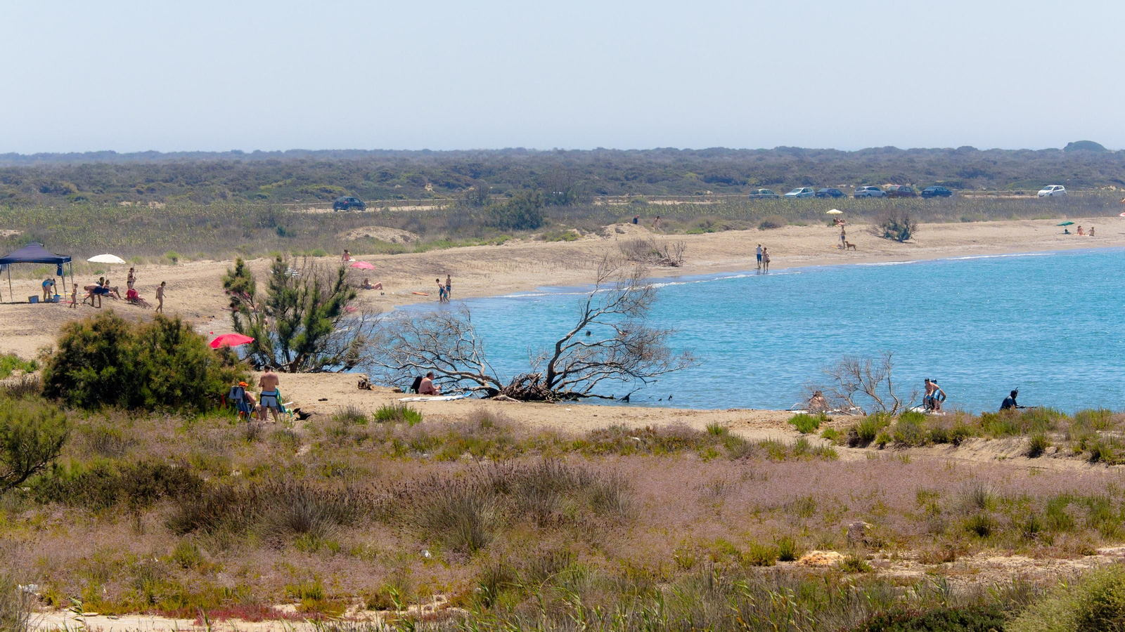 Playa Punta Entinas - Sabinar