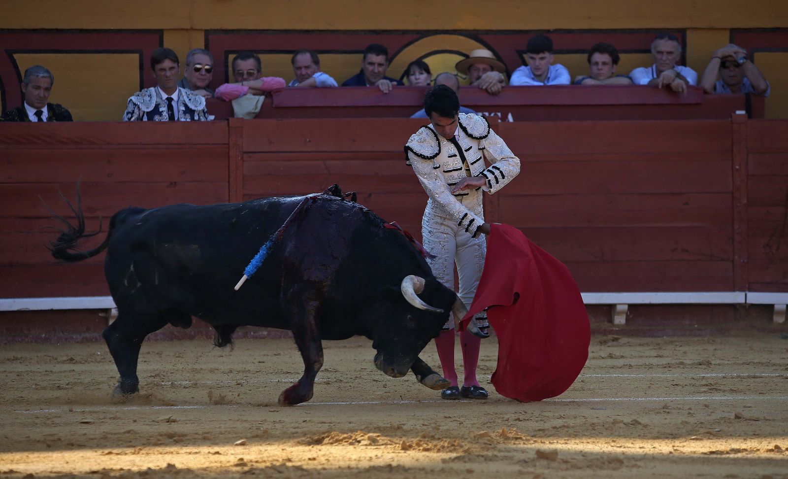 Fotos de la corrida del jueves de la Feria Taurina de Algeciras 2023:  Salvador Vega, Roca Rey y Pablo Aguado