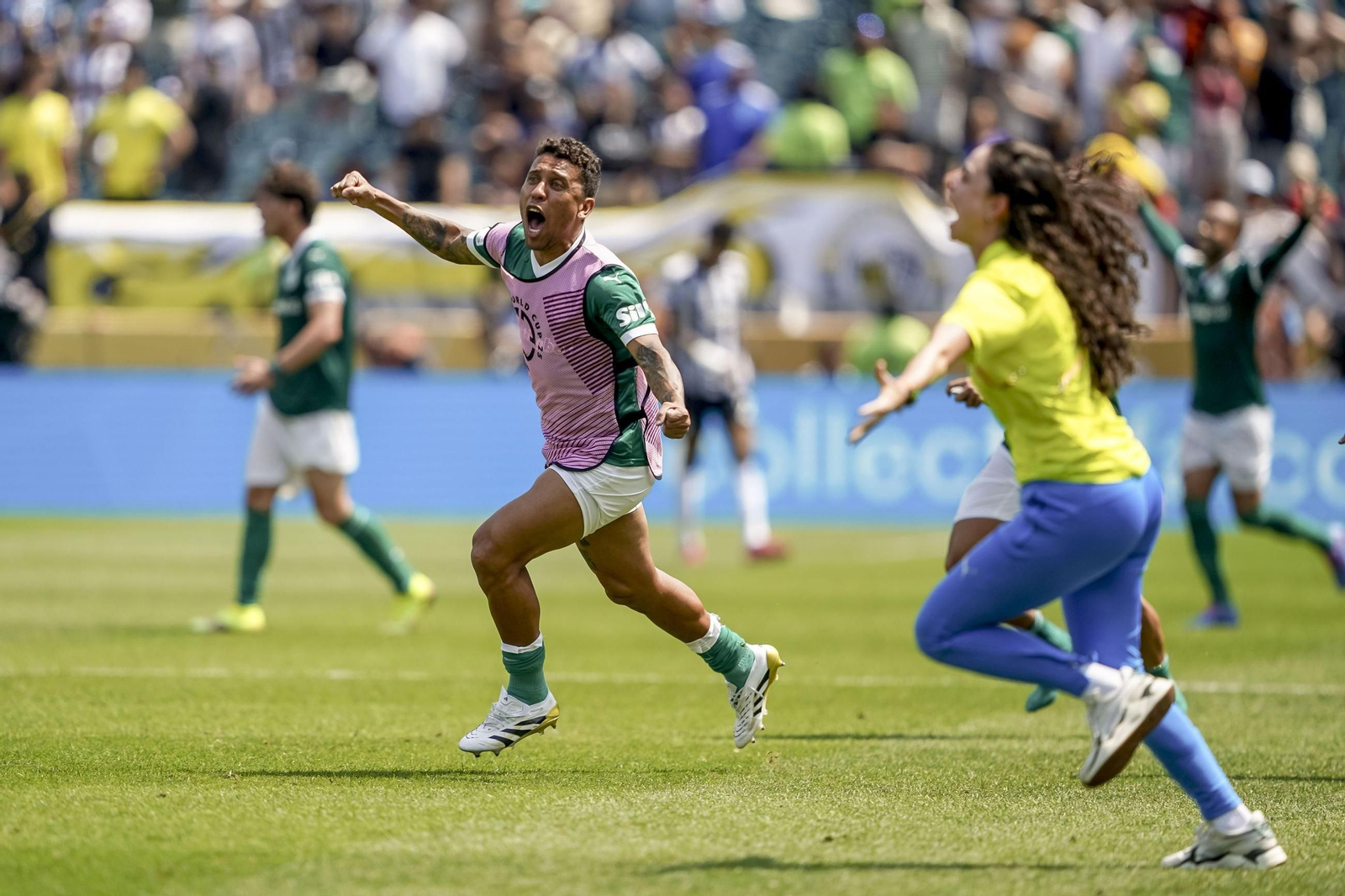 Palmeiras-Botafogo (40).jpg