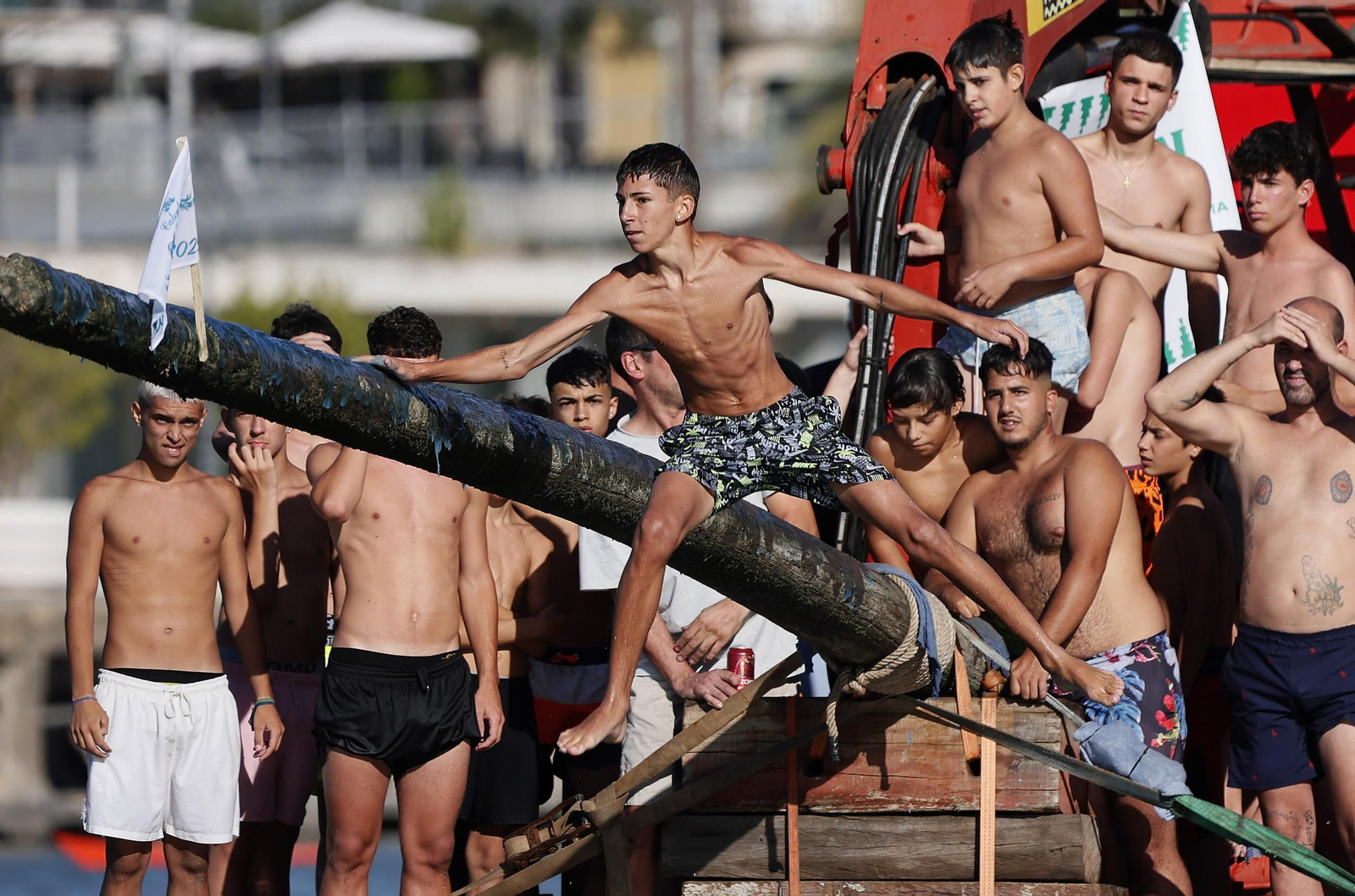 Las fotos de la cucaña