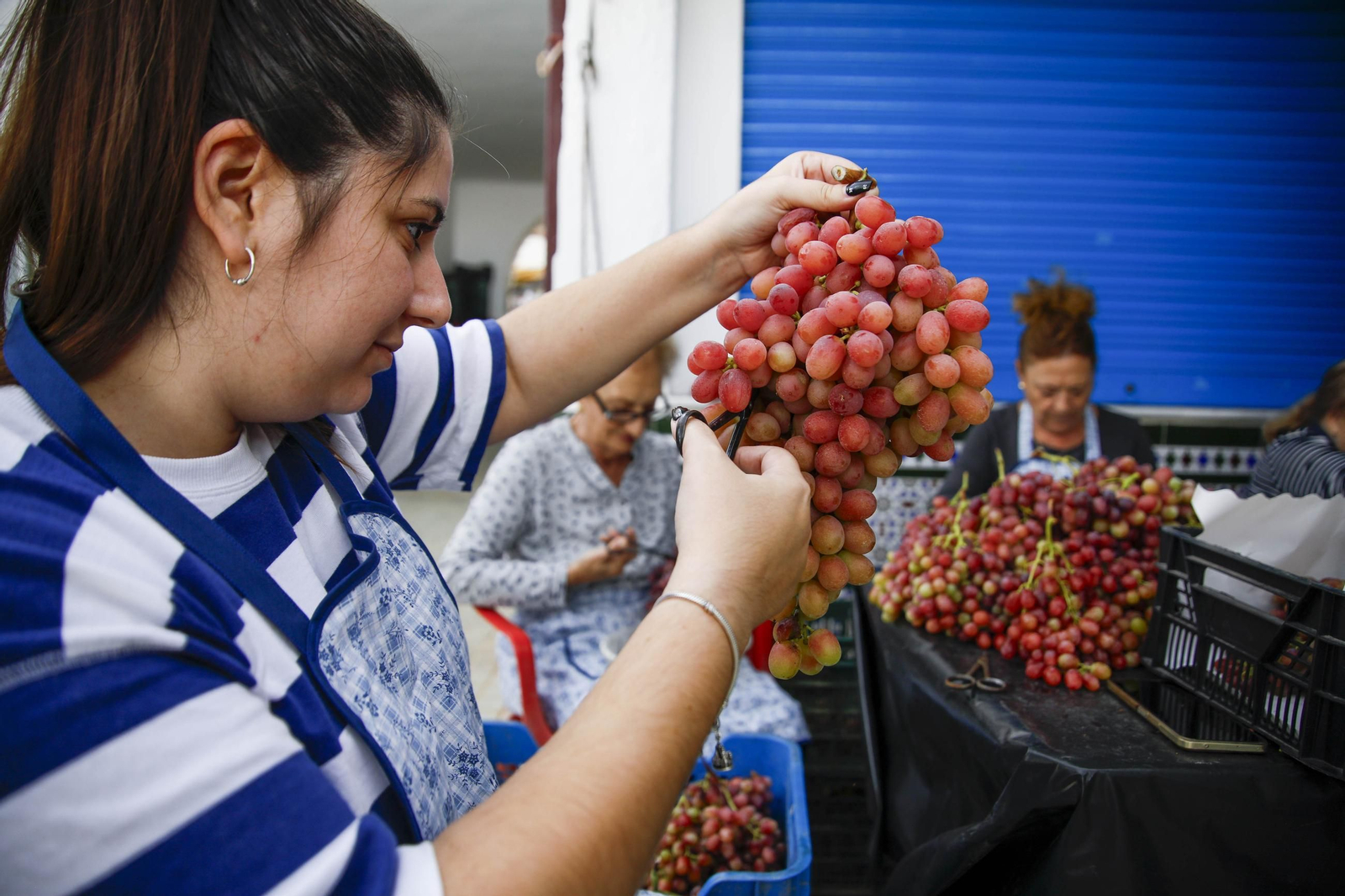La tradicional faena de la uva de Canjayar, en imágenes