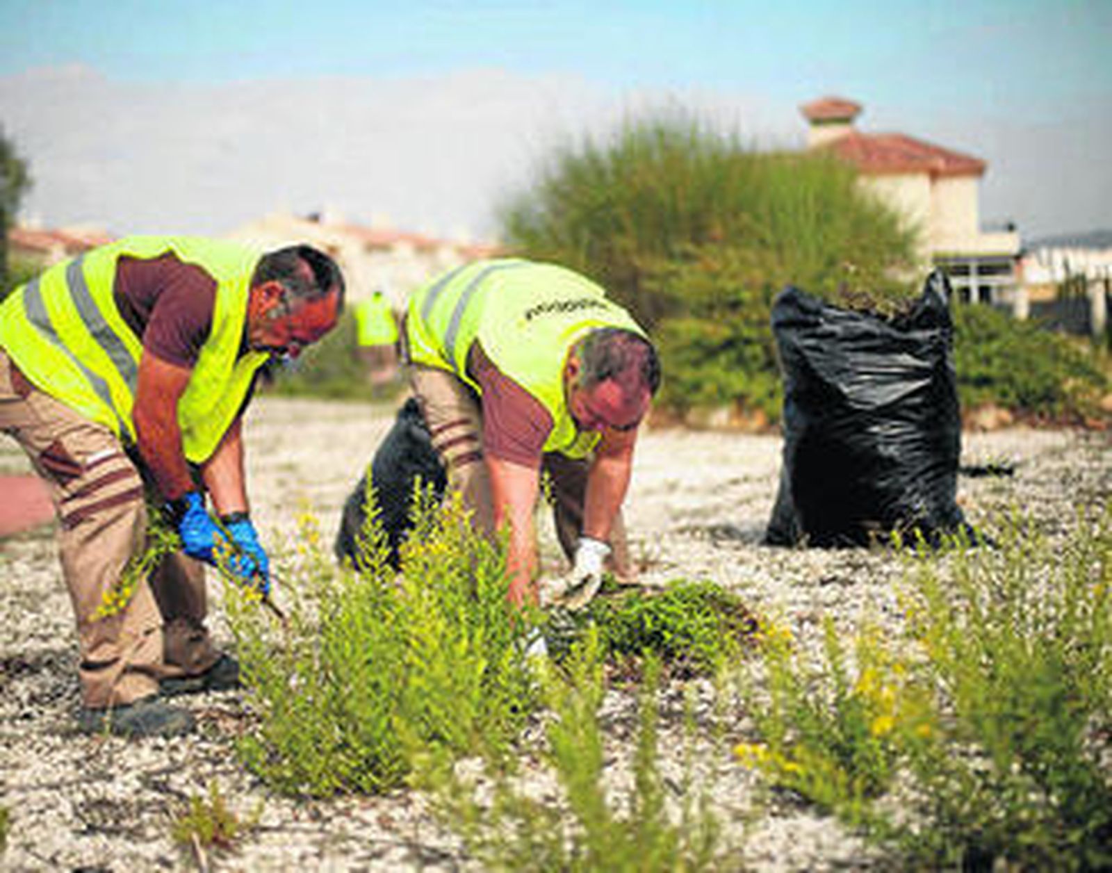 Varios operarios durante las obras de finalización del complejo residencial.