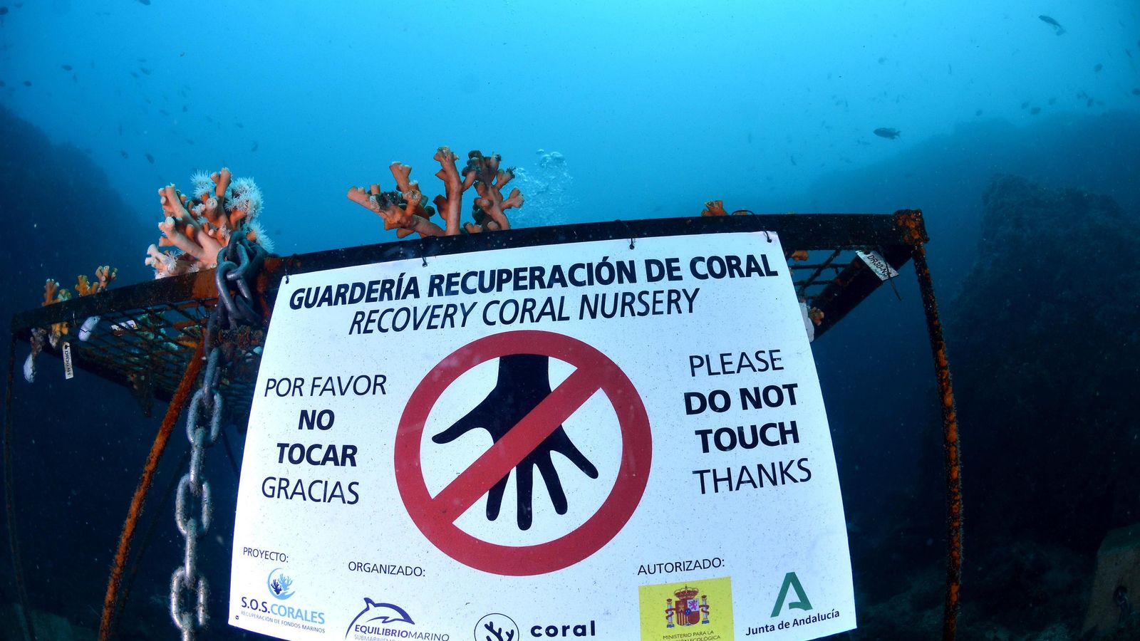 Se trabaja en lugares de especial protección. Se trabaja en lugares de especial protección.