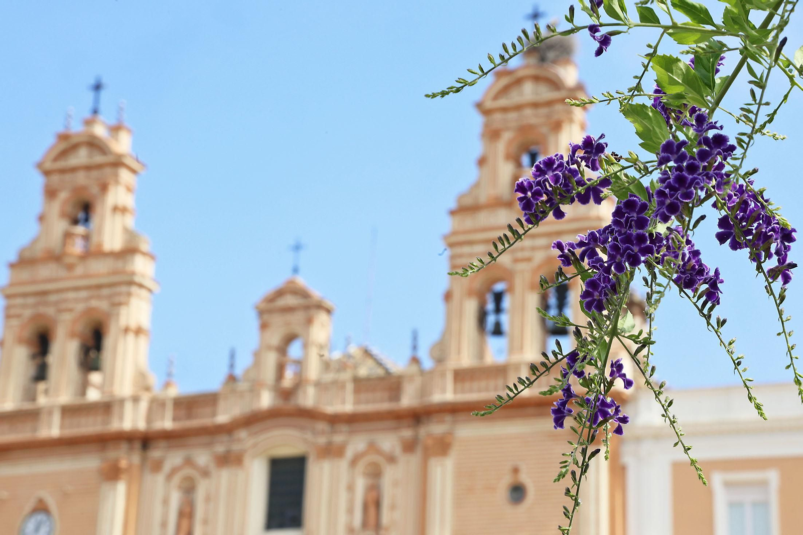 La Plaza de La Merced, un remanso de paz en las mañanas de verano