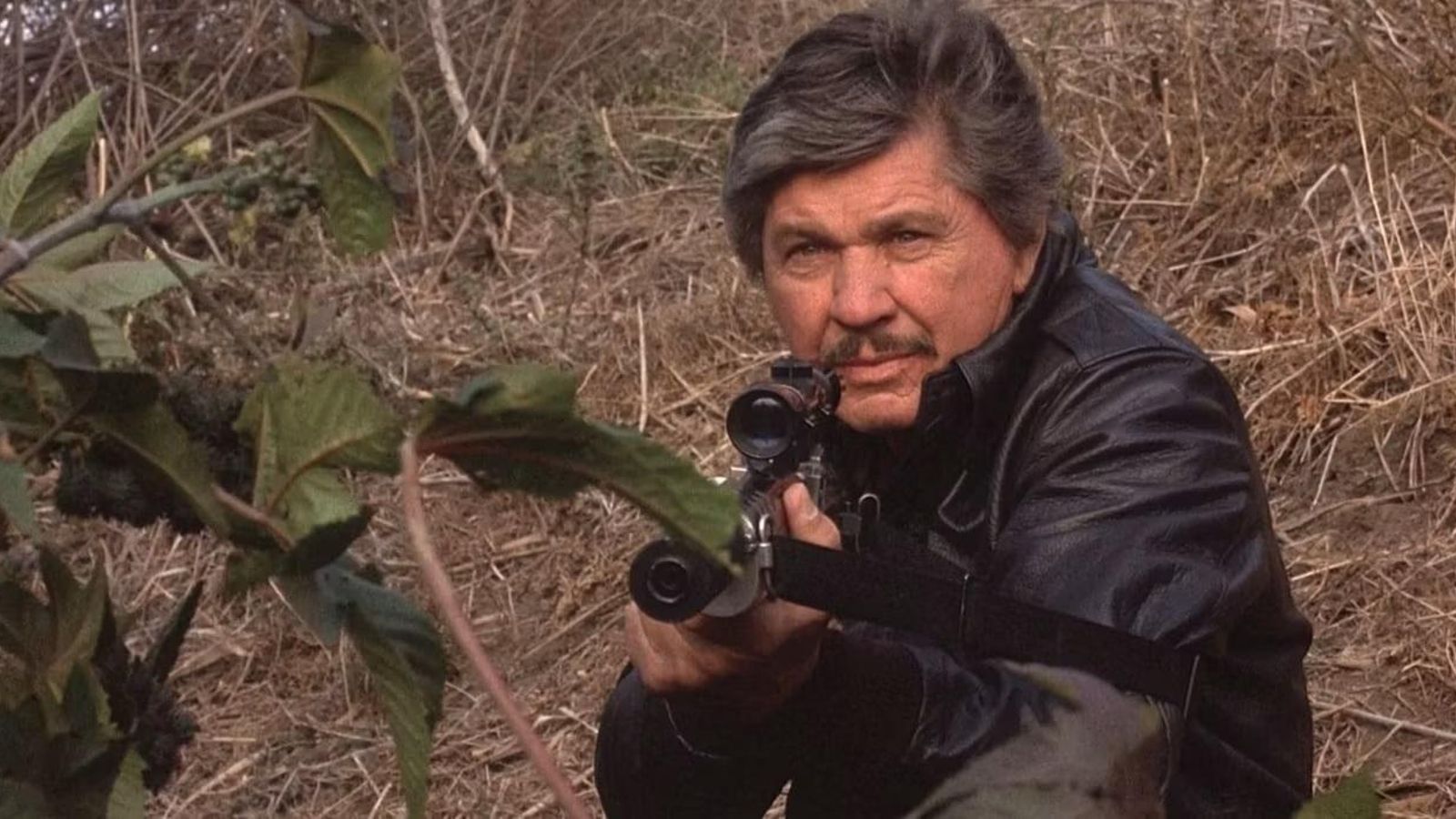 Charles Bronson