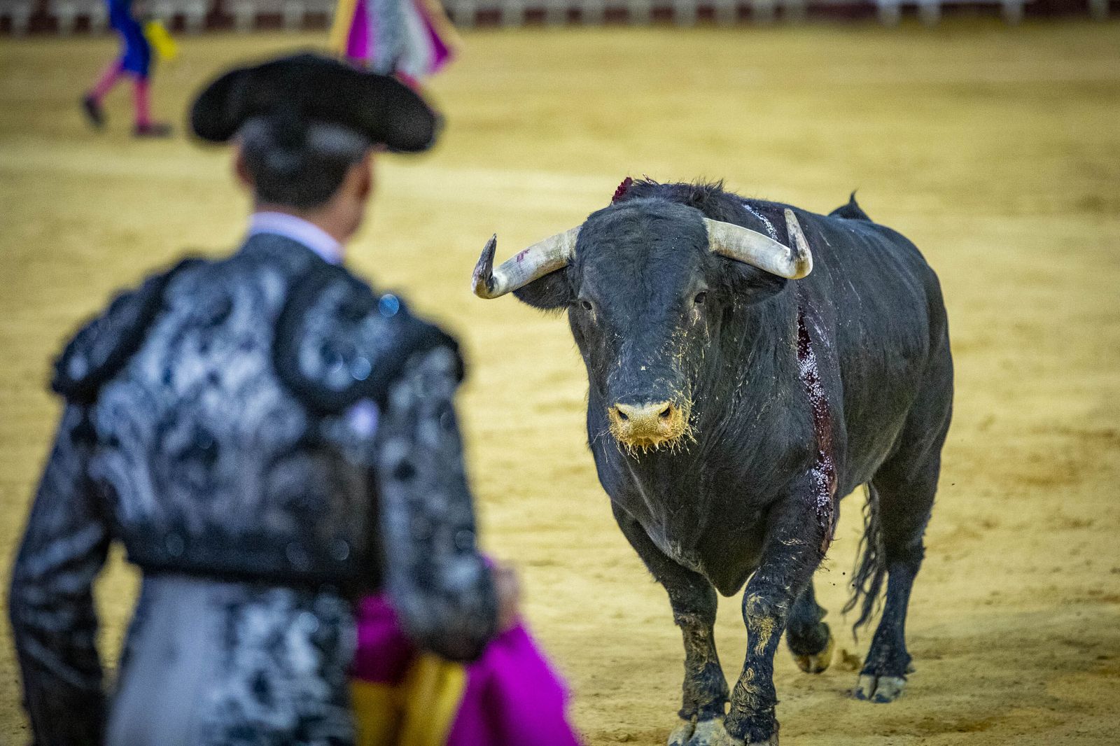 Daniel Crespo, Manzanares y Juan Ortega, en la plaza de toros de El Puerto