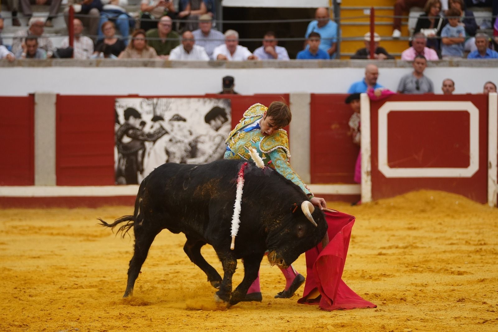El mano a mano de los novilleros José Antonio de Gracia y El Candela en Pozoblanco, en imágenes