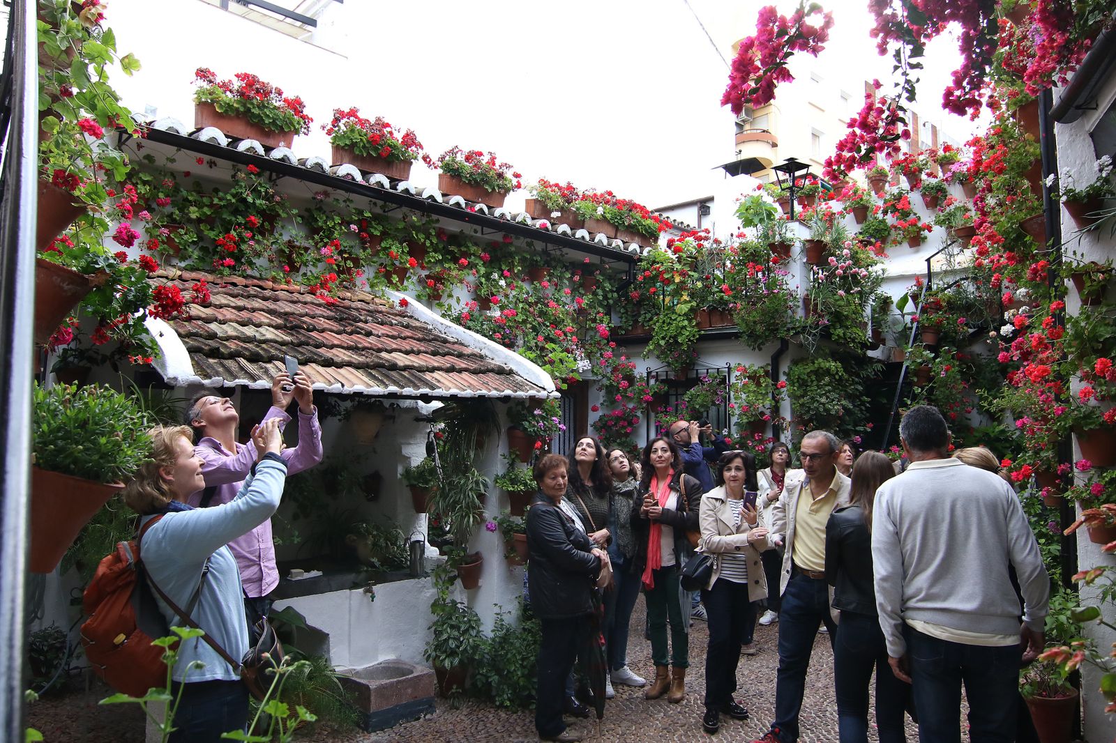 Los patios ganadores en el concurso de los Patios de Córdoba 2017