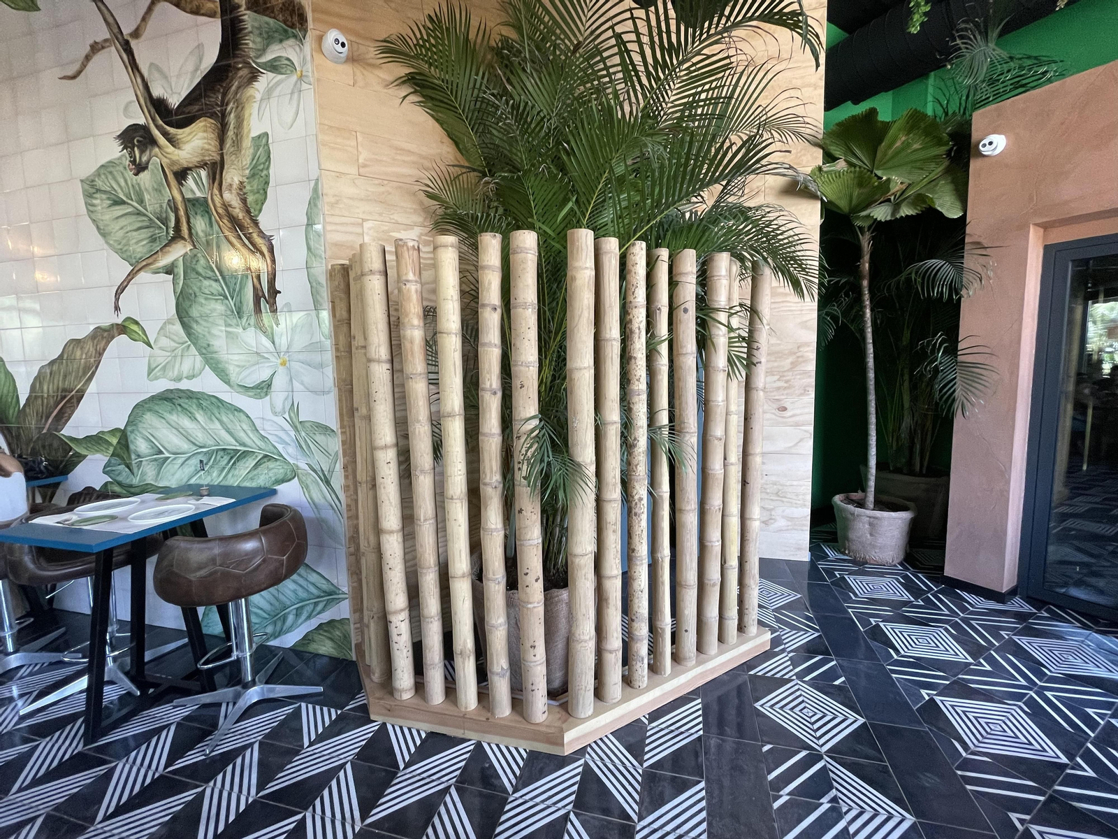 Fotos de 'La Loca María', el nuevo local de moda de Granada