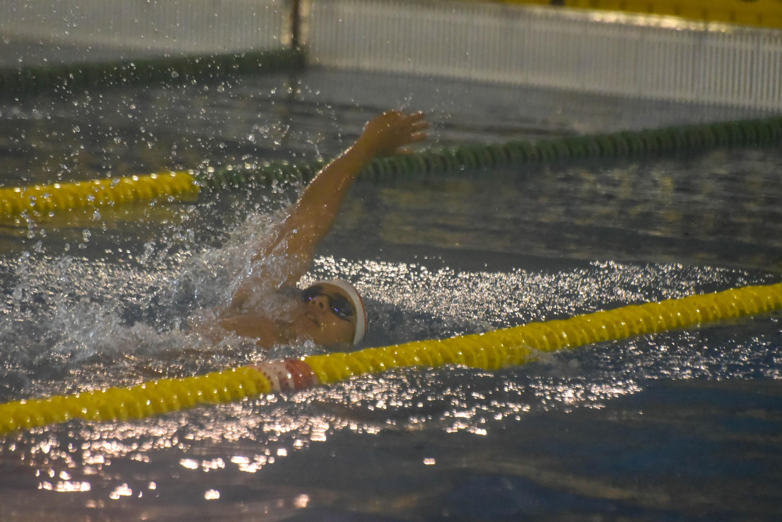 Las fotos del IV Trofeo de natacion Campo de Gibraltar en Los Barrios