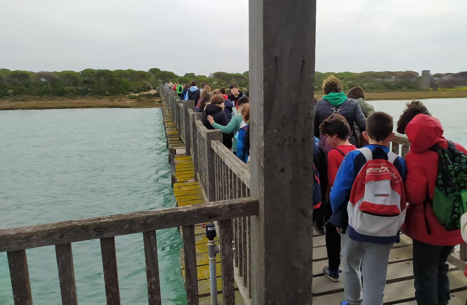 Una imagen de la campaña de educación ambiental, con la participación de escolares y profesores.