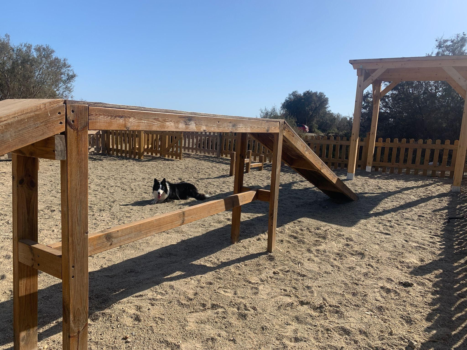 Las instalaciones del parque canino del Bobar han sido mejoradas