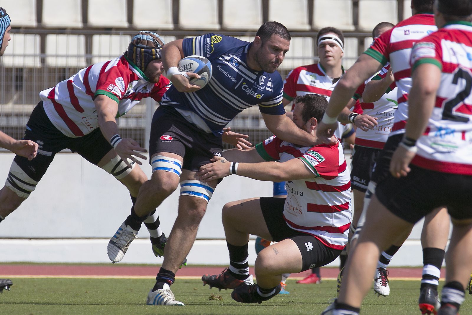 El científico Ale Ortega intenta conservar el oval.