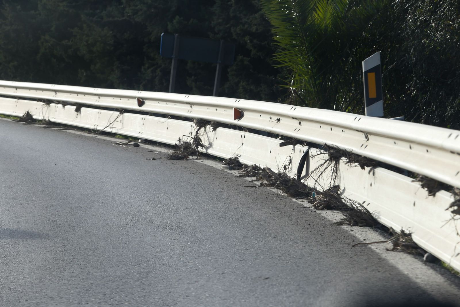 Fotos de las consecuencias de la borrasca Francis en Tesorillo y Jimena