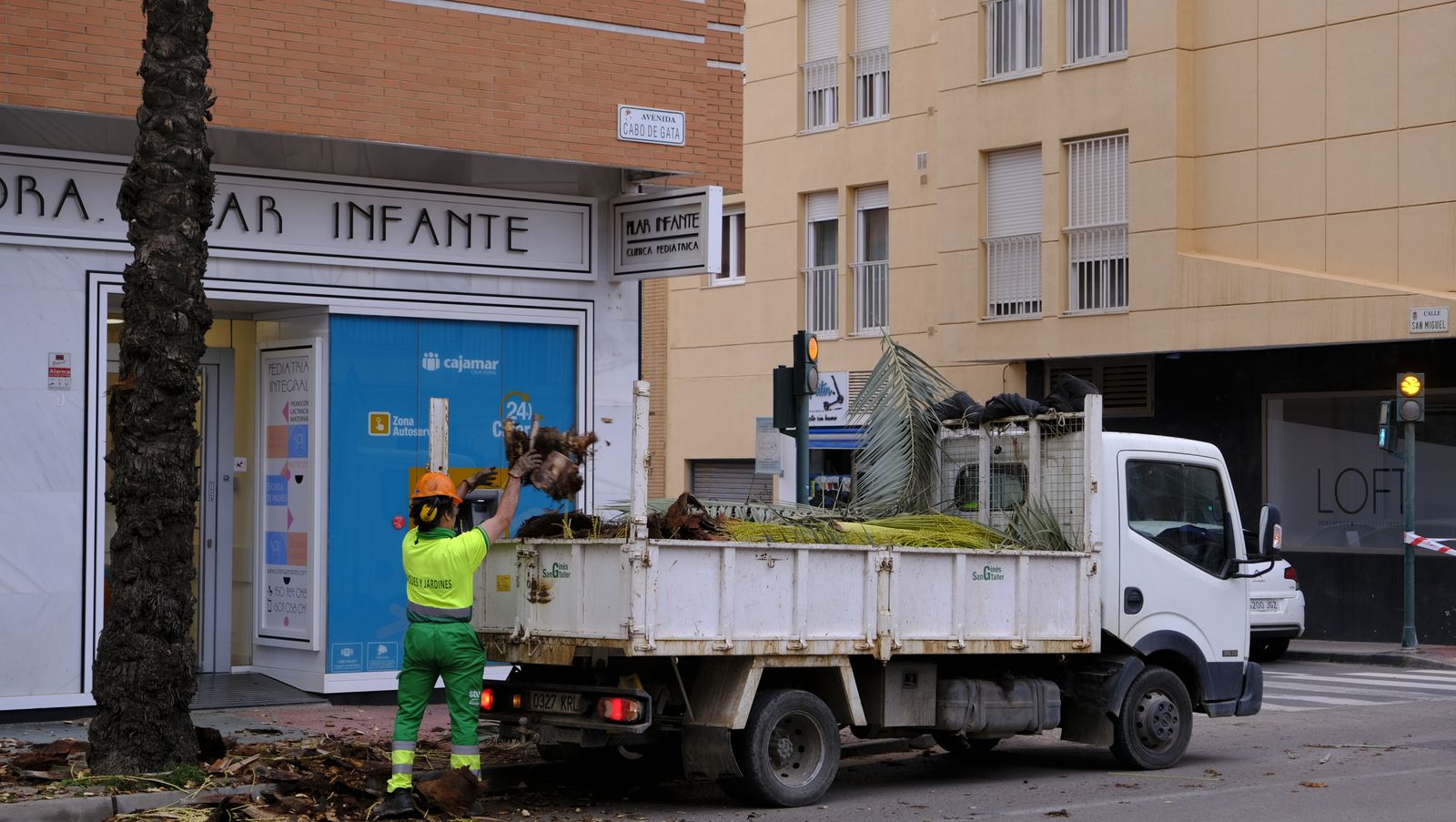 Fotogalería de la poda e inspección de las palmeras de la Avenida Cabo de Gata. Almería.