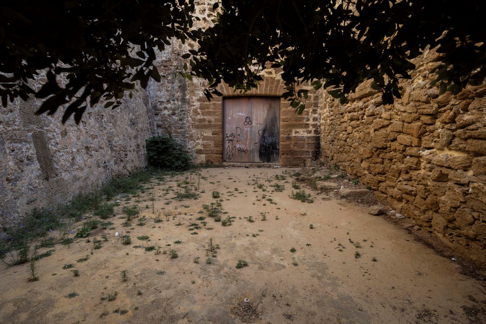 El estado de los jardines de la muralla de Cádiz