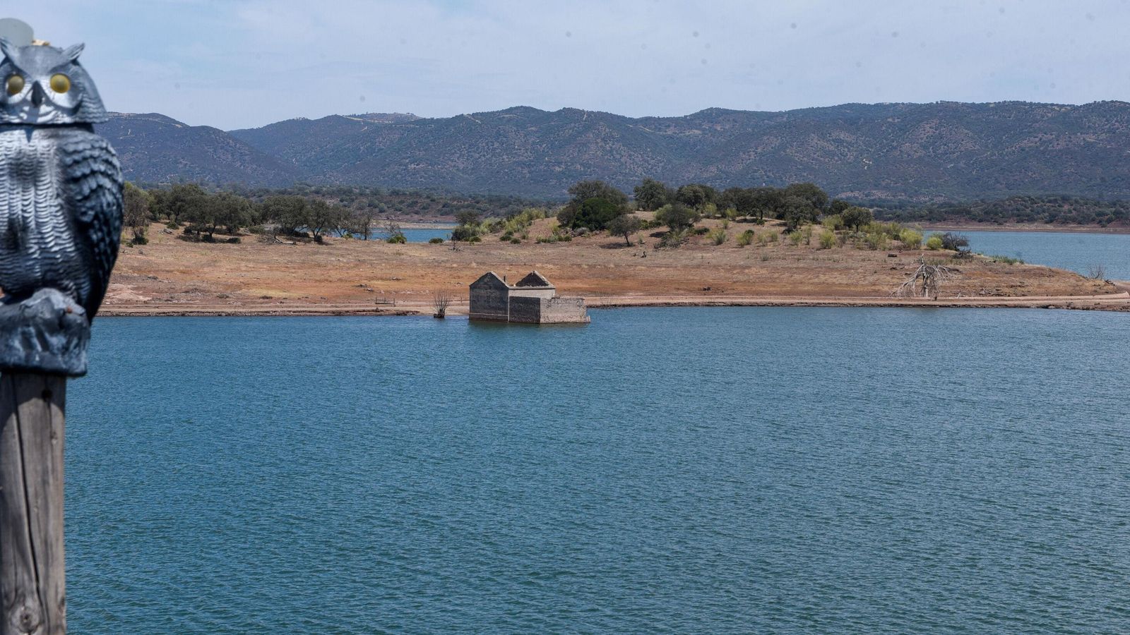 Vista de Melonares este viernes.