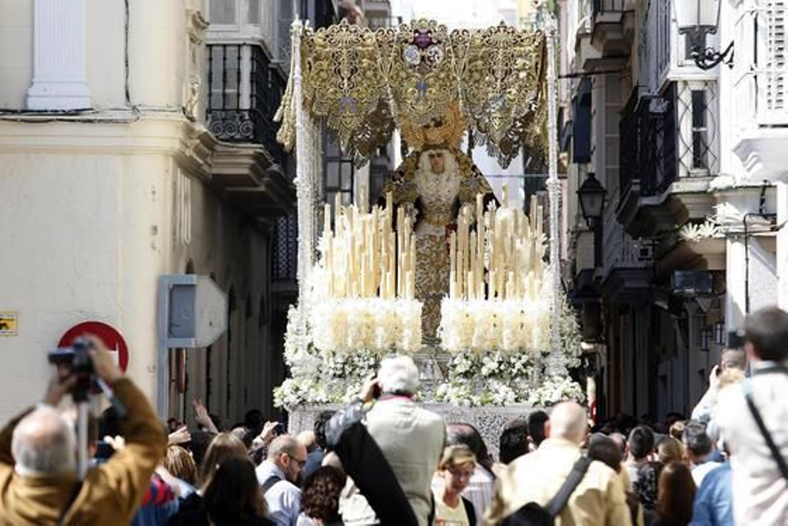 Borriquita

Foto: Joaquín Pino