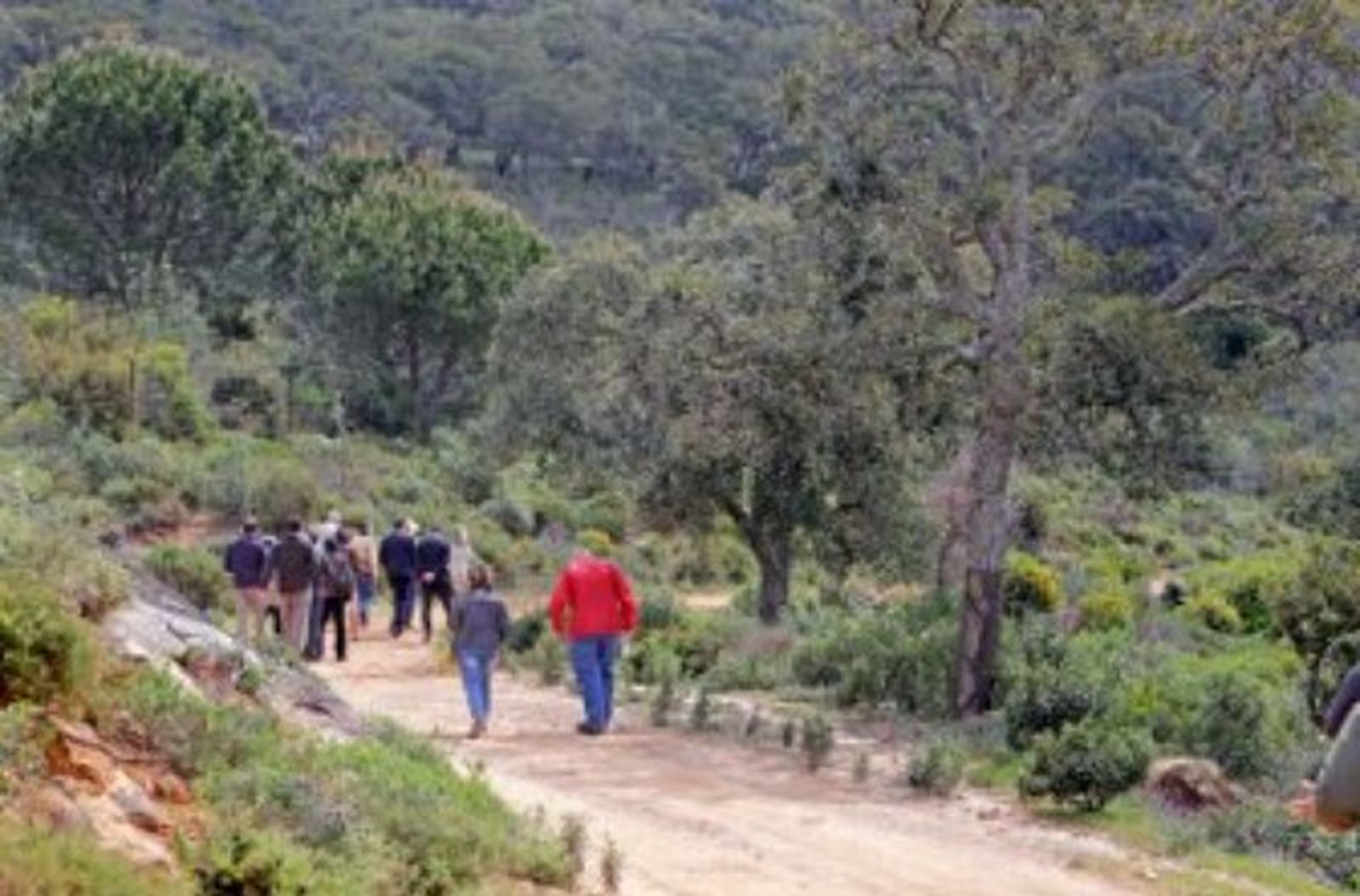 Imagen de archivo de los Montes de Propios de Jerez