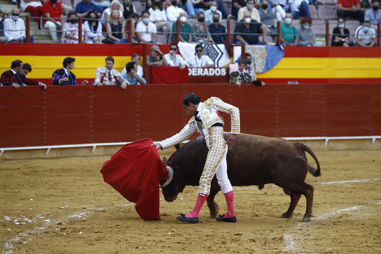 Fotogalería corrida de toros. Cayetano Rivera, Paco Ureña y Roca Rey. Roquetas de Mar.