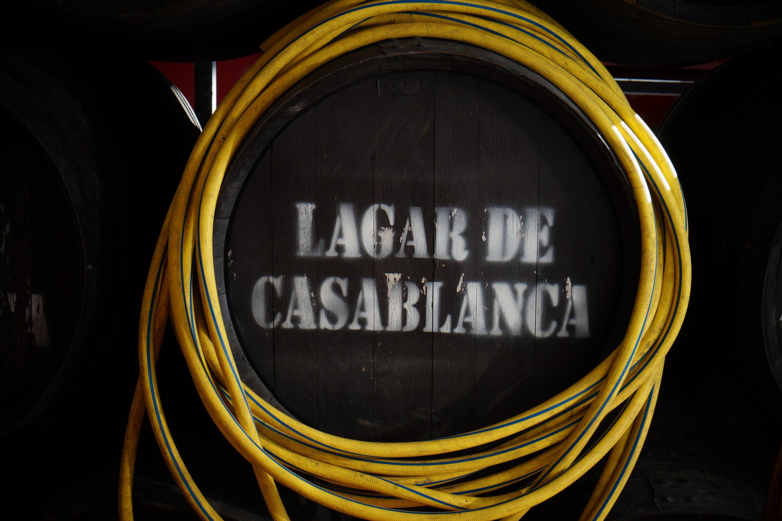 Un recorrido en fotografías por el vino nuevo de Moriles