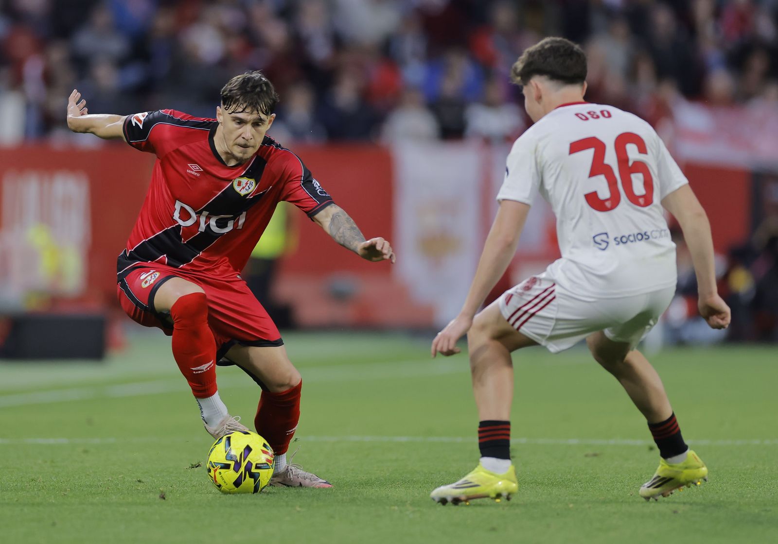 Las fotos del Sevilla FC - Rayo
