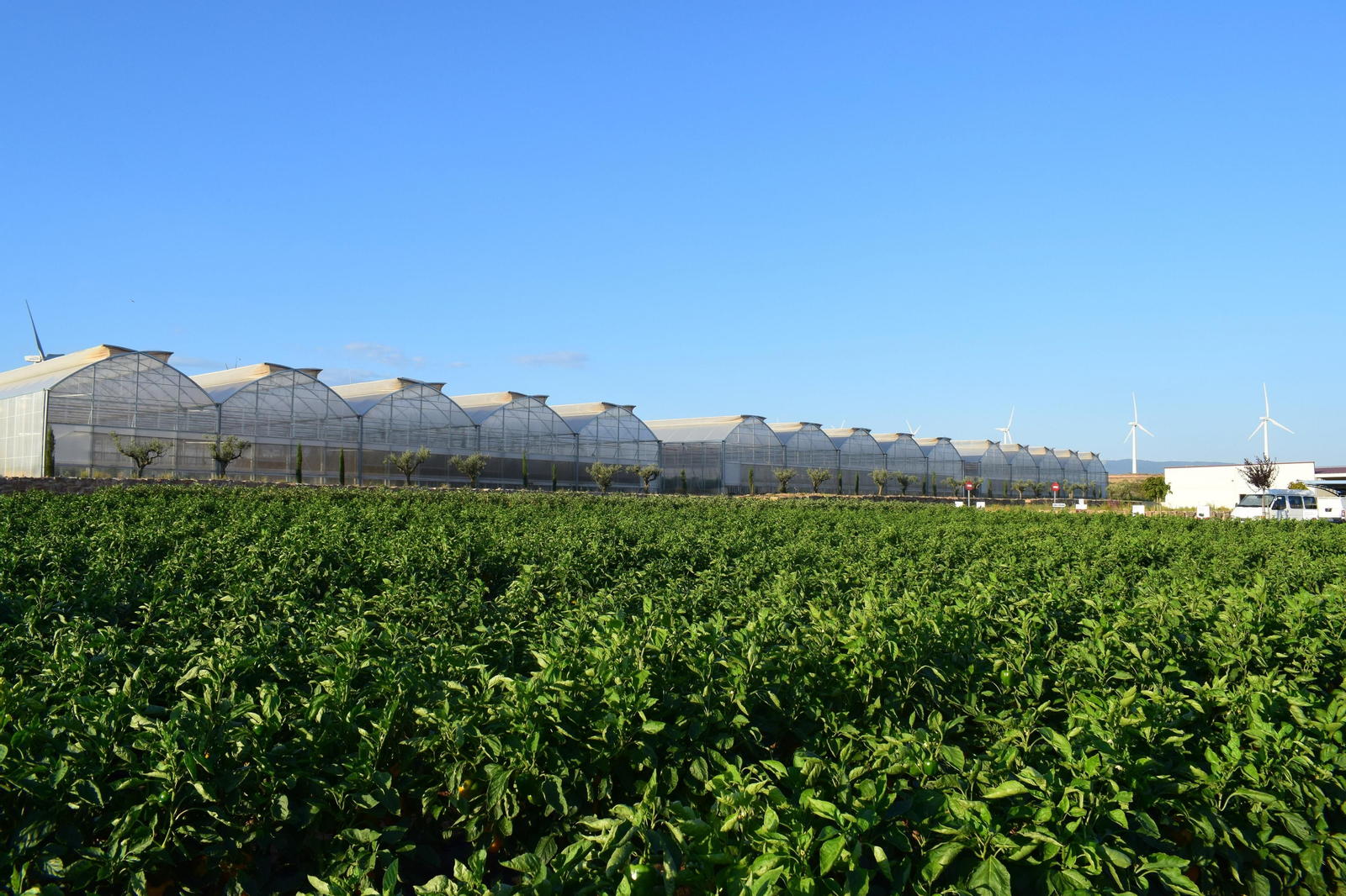 Instalaciones de Ramiro Arnedo en  Calahorra (La Rioja).