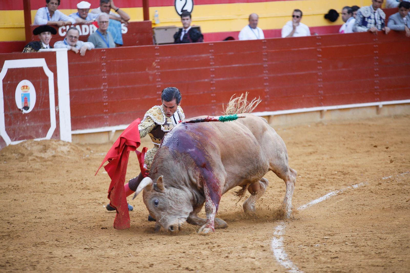 Imágenes de la corrida de toros en Roquetas de Mar