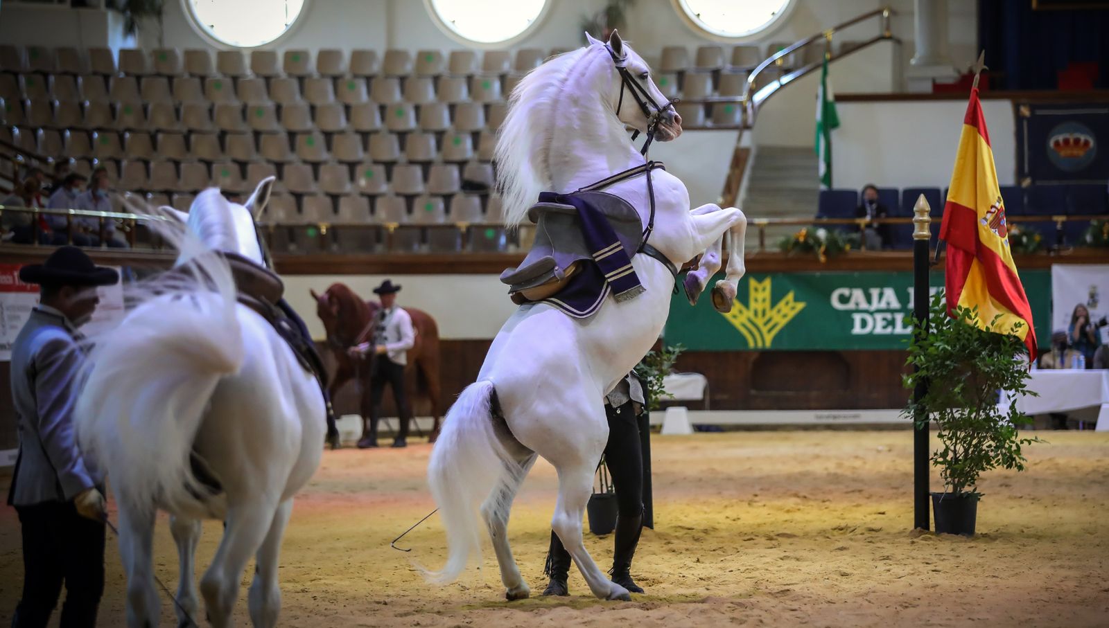 XIV Copa del Rey de Doma Vaquera y exhibición de la Real Escuela Andaluza del Arte Ecuestre