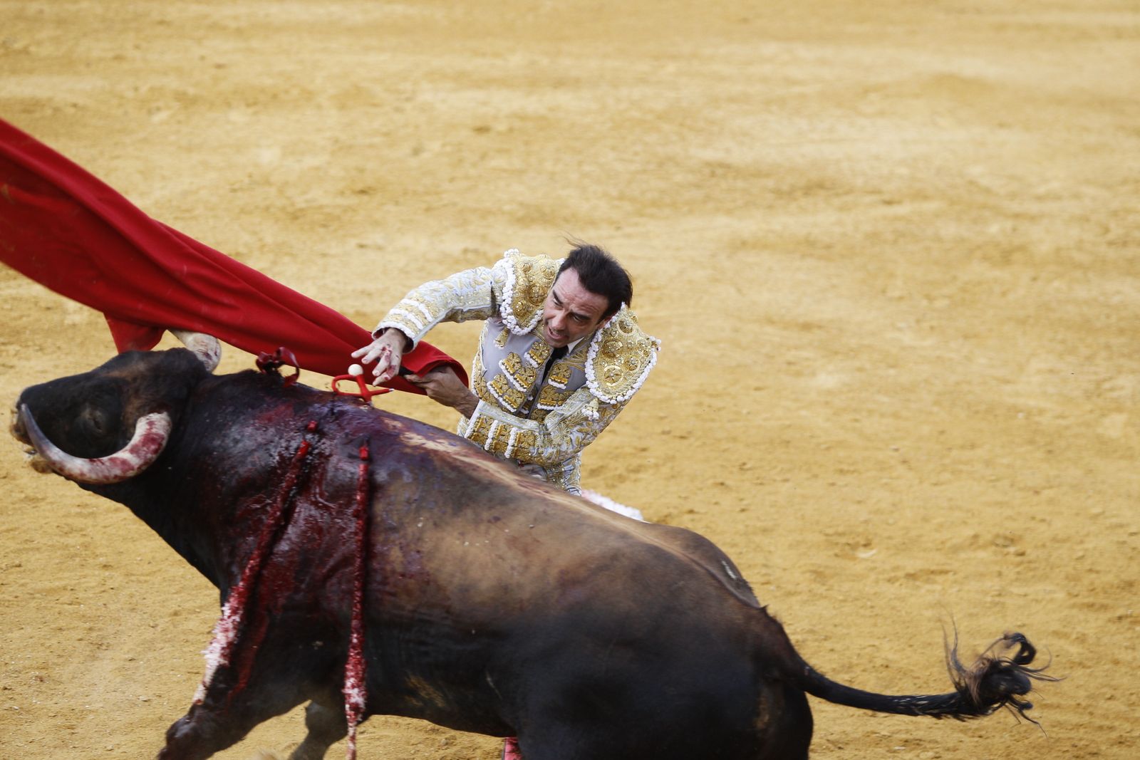 Fotogalería corrida de toros. Fiestas de Vera