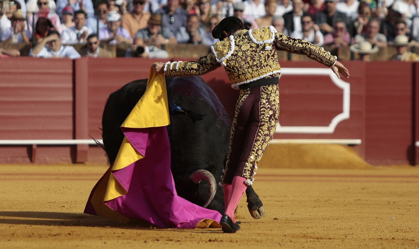Las imágenes de la undécima de abono de la Maestranza