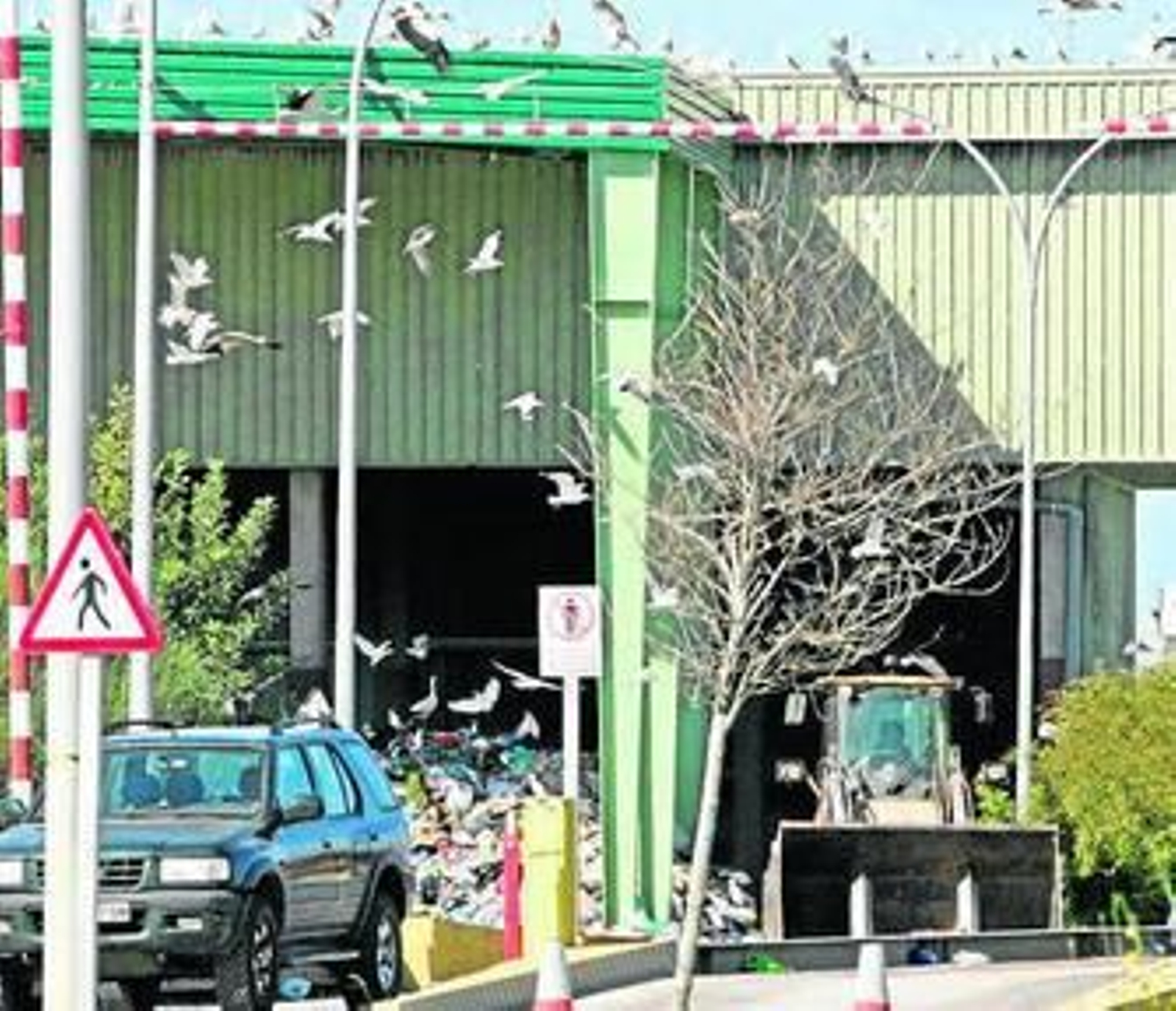 Imagen de una zona de la planta de Las Calandrias.