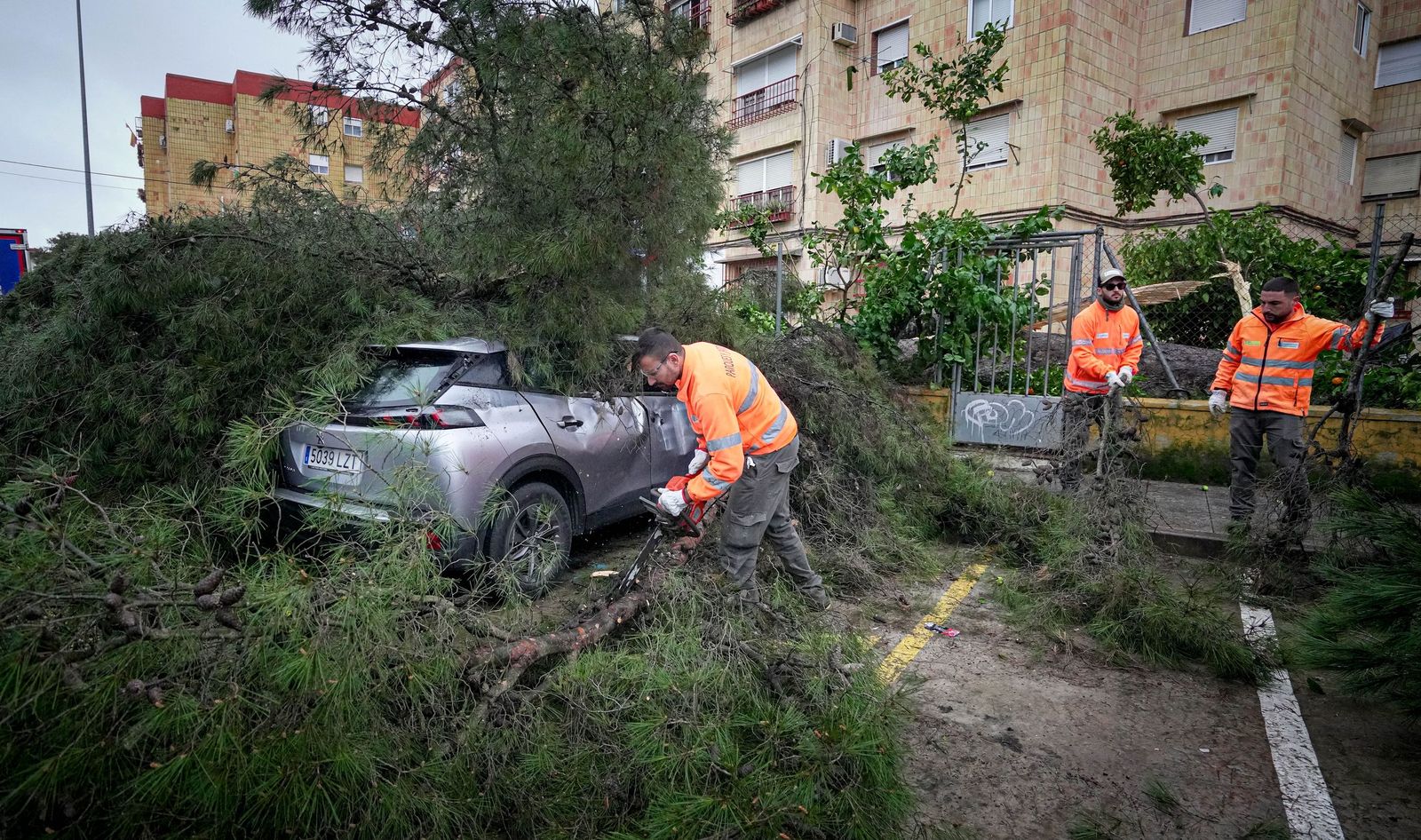 Imágenes de los efectos del temporal Kristin a su paso por Jerez