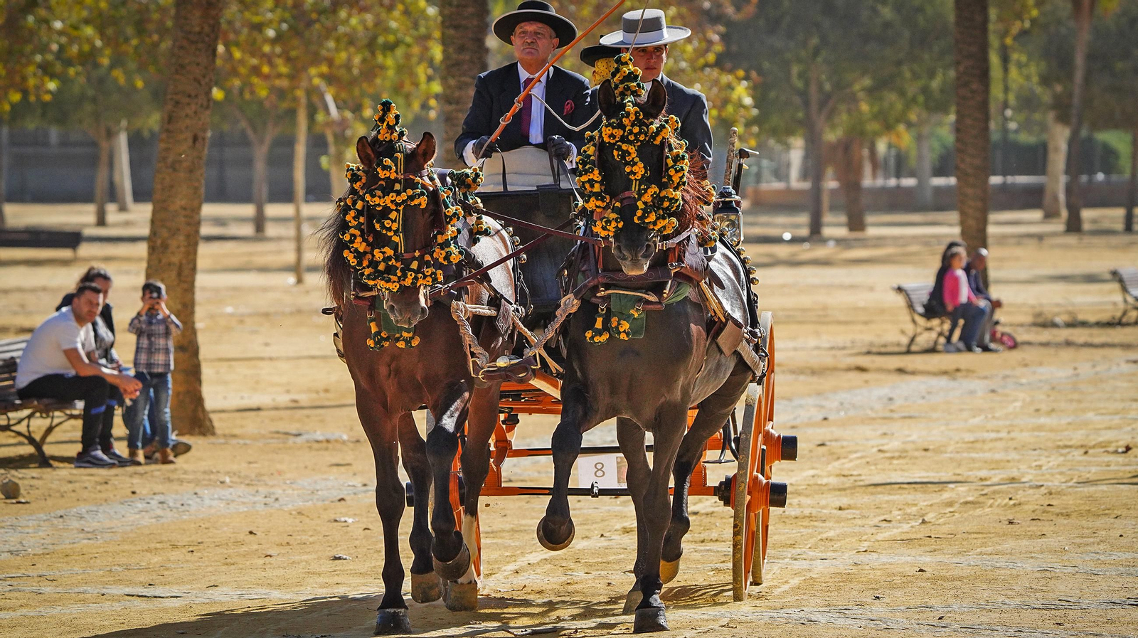 Tradición y elegancia en el Concurso Internacional de Enganches