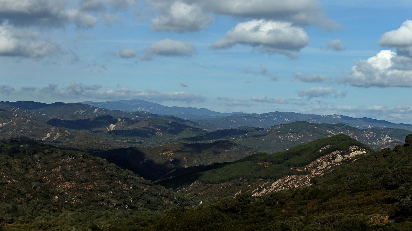 Un paraje de vegetación baja.