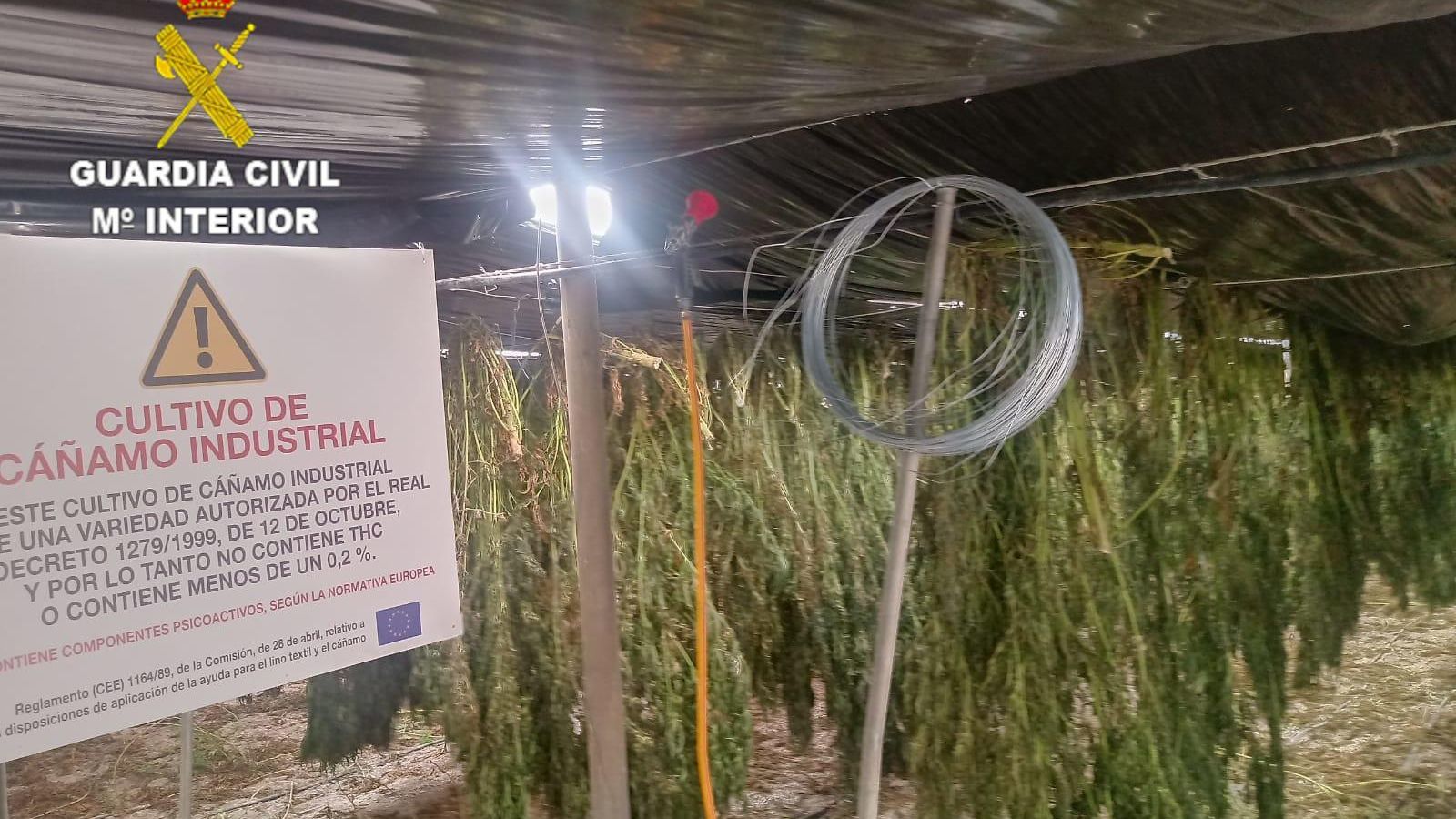 La marihuana estaba oculta en invernaderos de cáñamo industrial de la Costa de Granada.