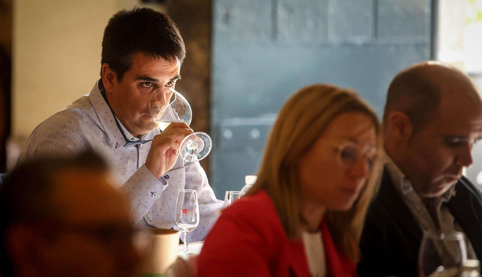 Cata de vinos de Álvaro Domecq en Jerez